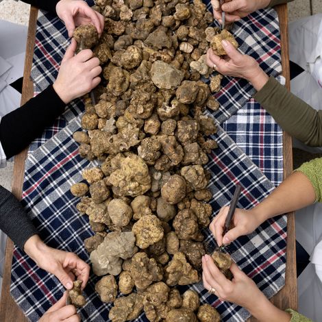 White Truffle Selection
