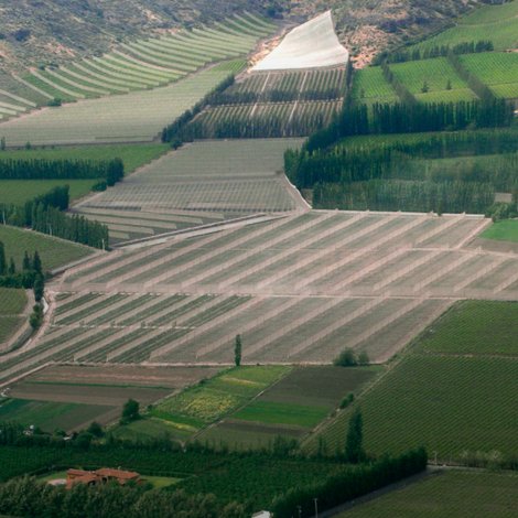 Production Site