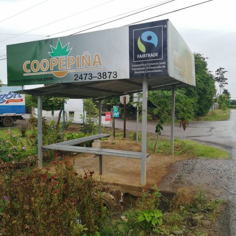 Coopepiña R.L. Costa Rica