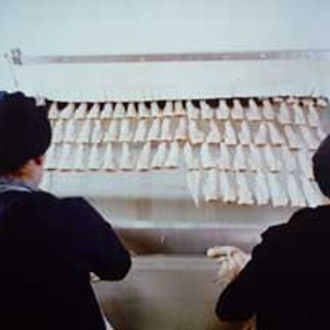 Couper Seafoods Ltd