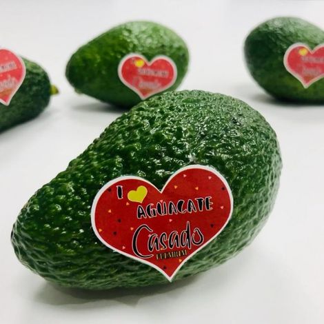 avocados3-1000x750.jpg