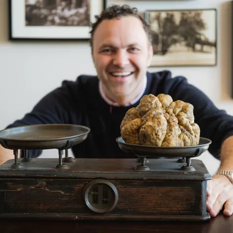 Sabatino North America, LLC