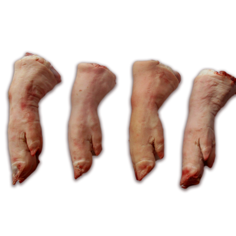 FIRMA BRANZY TLUSZCZOWO-MIESNEJ SADELKO KRYSTYNA I PIOTR CHOJECCY S.J. (SADELKO S.J.)