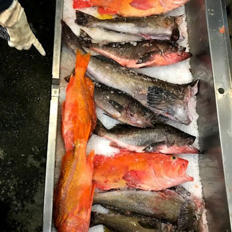 Peninsula Seafoods Inc. - Products