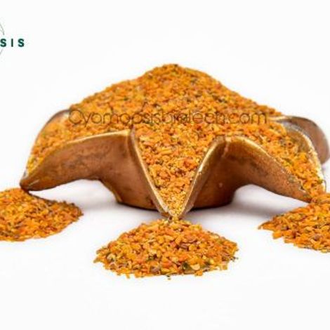 Cyamopsis Biotech (India) Pvt. Ltd