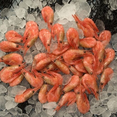 Kangamiut Seafood A/S