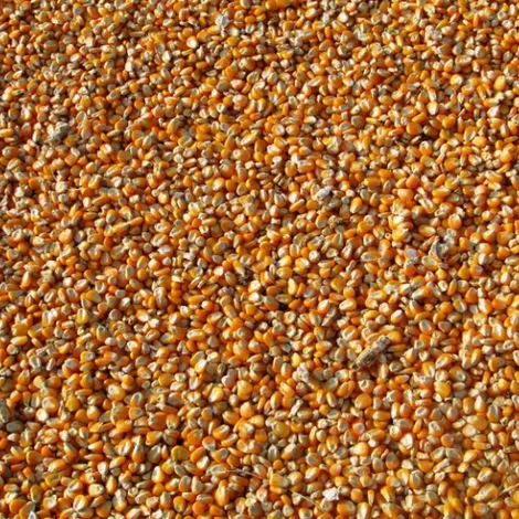 Adams Vegetable Oils
