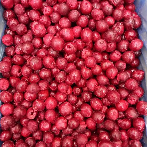 IQF PITTED SOURCHERRIES
