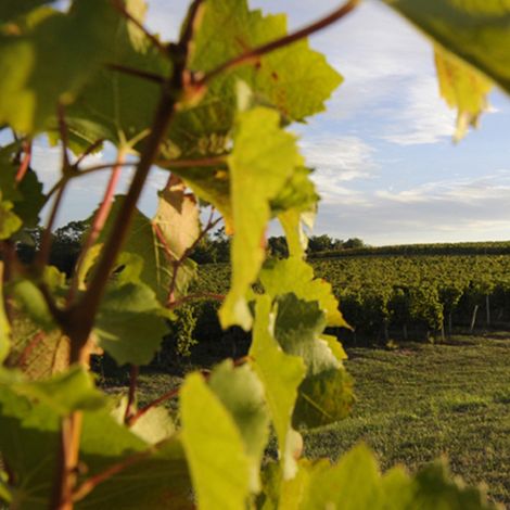 Château Durand Laplagne les Terres Rouges