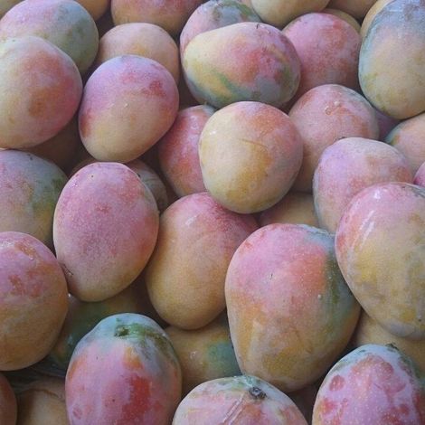 First Harvest Trading Limited