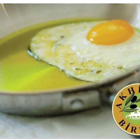 Akhisar Birlik Zeytincilik Gida Sanayi Ve Ticaret Limited Sirketi