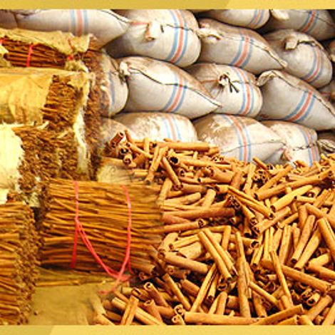 banner02.jpg