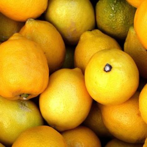 Lemon