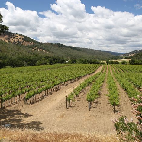 Volker Eisele Family Estate