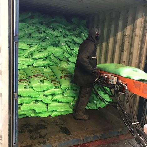 Laird Green Lentil loading in container