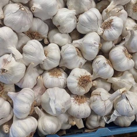 Ovocnářství Slaný - Moštárna