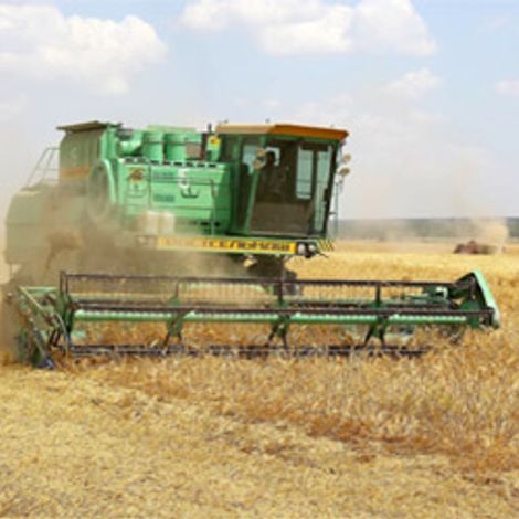 SPK Kolkhoz Rodina - Grain Crop