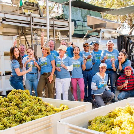 Vine Cliff Winery_Wine_Staff