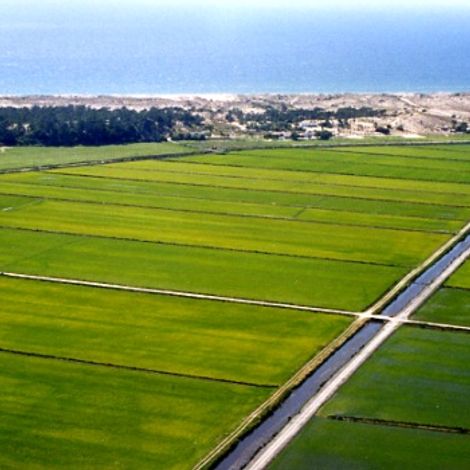 Dacsa Atlantic