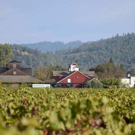 Frog's Leap Winery_Wine_Overview