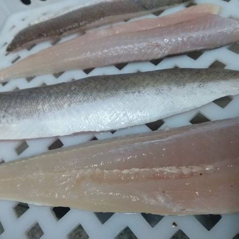 hake fillet skin-on