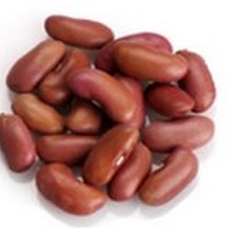 LightRedKidneyBeans-medium-crop-0-0-1-1.jpg