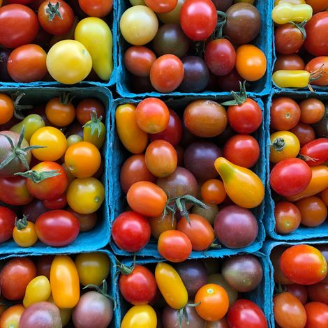 Twisted Root Organic Farm, LLC