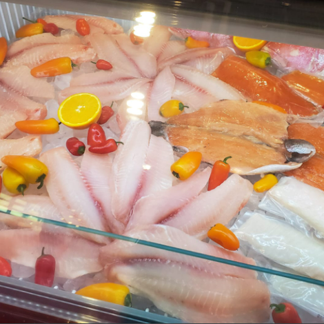 tilapia