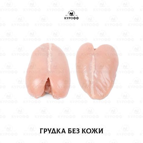 LLC Kuroff