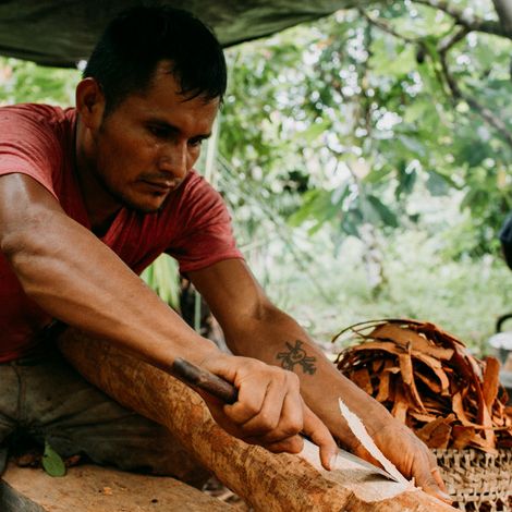 Amazon Cinnamon (Ishpink)