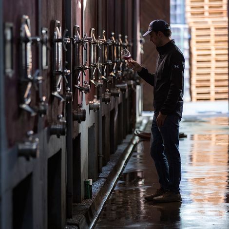 Benegas_Wine_Process