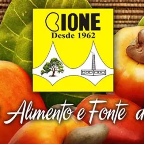 Cione - Companhia Industrial de Óleos do Nordeste