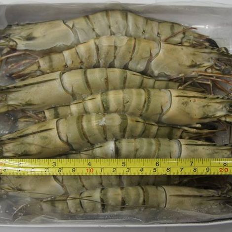 Black Tiger shrimp 8 pcs/500 g
