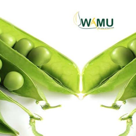 Wamu Investments Ltd