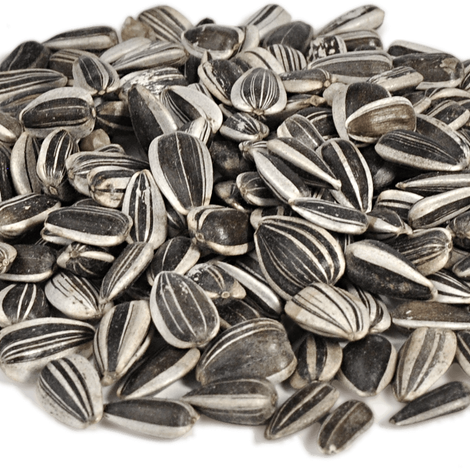 Sunflower Seeds