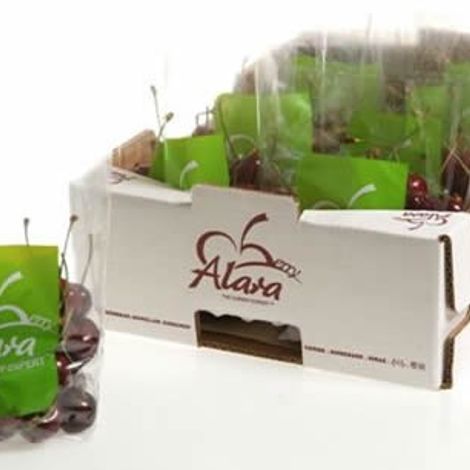 Alara Tarim Urunleri Sanayi Ve Ticaret A S