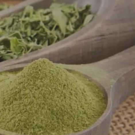 PT. Moringa Indonesia Fangardana - Moringa Powder