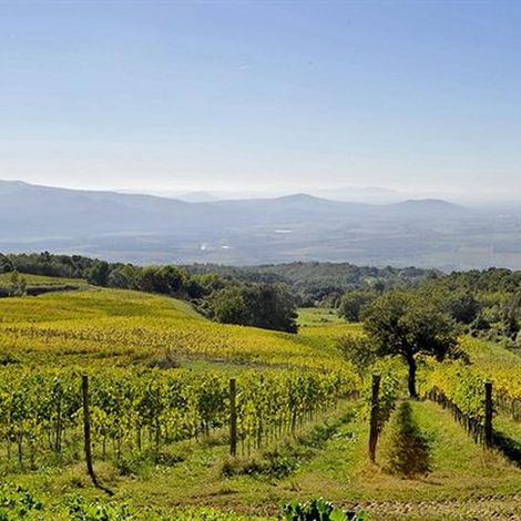 VALDONICA Winery & Vineyard Residence