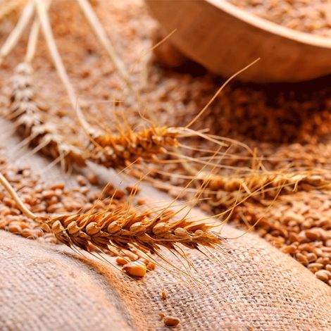 L'Antico Molino Calemma