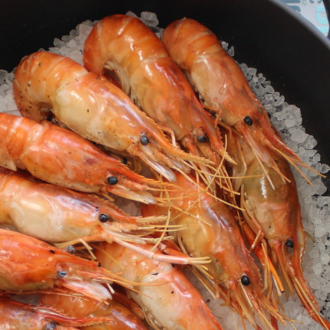 banner002-1540x503.png