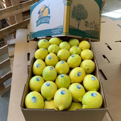 Arbolar_Lemons_Eureka
