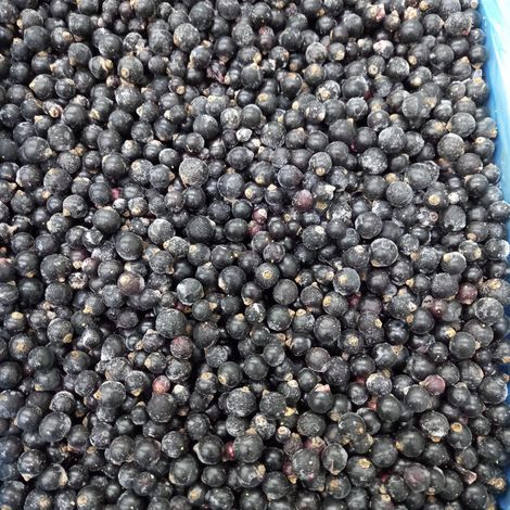 IQF BLACKCURRANTS