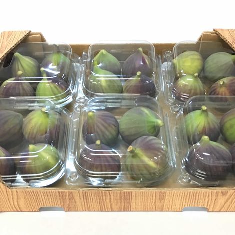 Alara Tarim Urunleri Sanayi Ve Ticaret A S