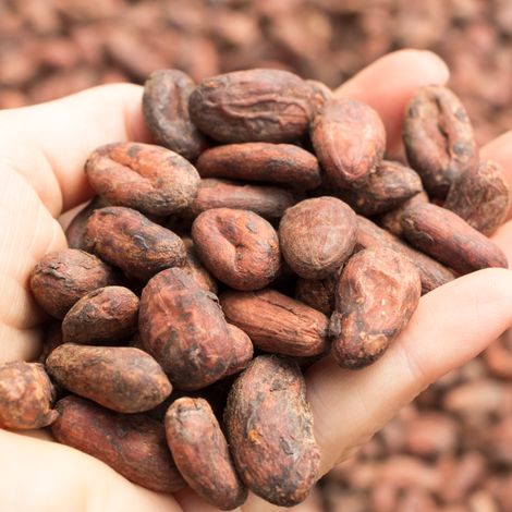 Nahua cacao beans