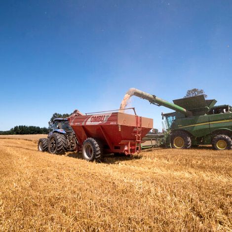 AGROPEL - Agroindustrial Pedregal S.A. - Wheat Harvest