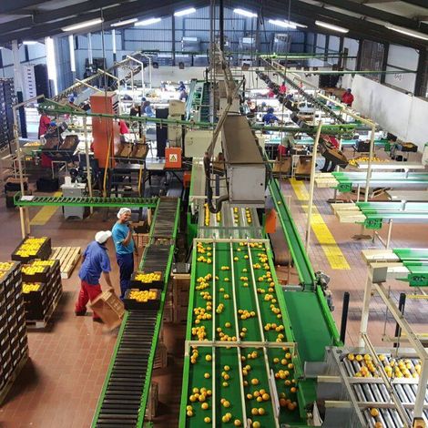 EPIC Fruit Exporters Pty Ltd - Facility