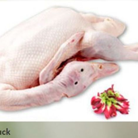 Whole Duck