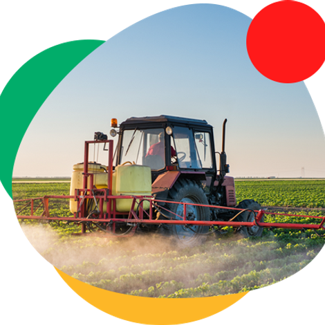 Hebei Deli Foodstuff Co., Ltd. - Plantation