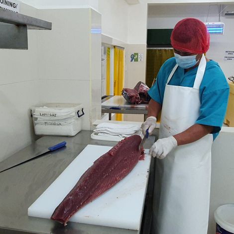 Nuevo Fresco Marine Trading Corp. - Processing Area