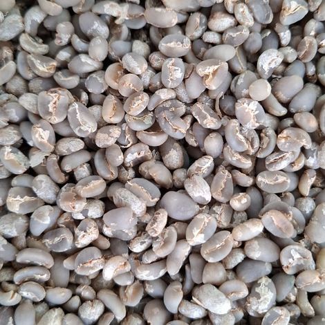 Lintong Arabica North Sumatra Hidden Gem